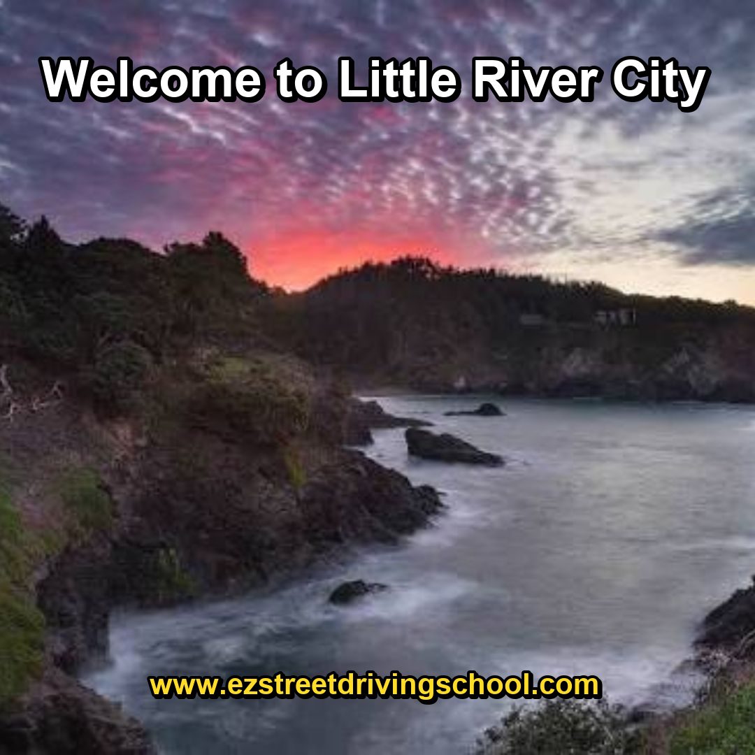 Driving Lessons in Little River
